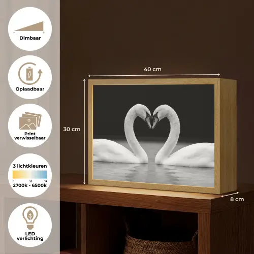 Zwanen - Hart - Zwart - Wit Light Box met batterij (Wandlamp) middel -USP_websiteoverzichtNL