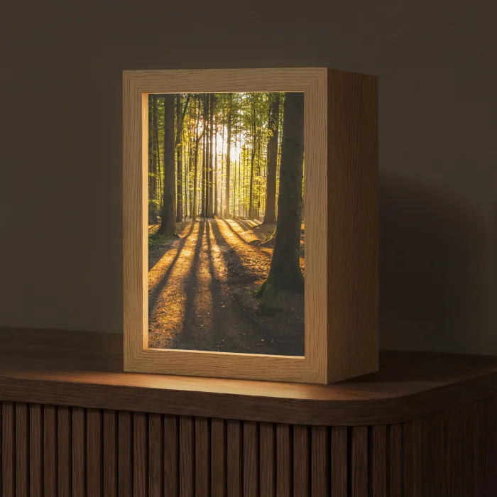 Zon - Bomen - Bos - Landschap - Natuur Light Box met kabel (Tafellamp) klein -z3d_website