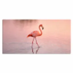 Flamingo - Water - Roze Muismat XXL klein -3d_leeg