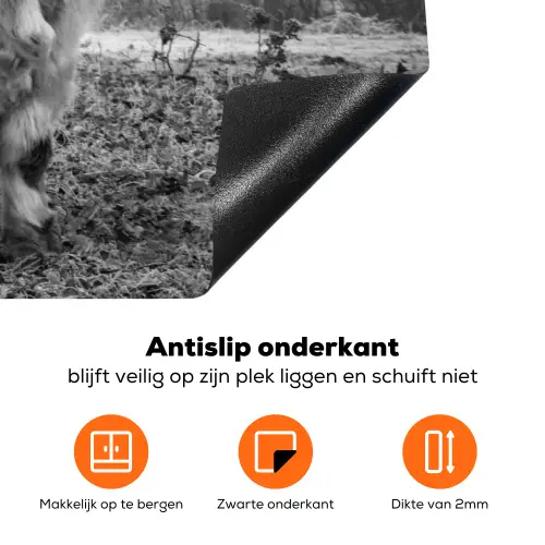 Heerser van de Mist Inductie beschermer vinyl 3mm klein -zzzzzzz-td-onderkant
