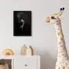 Koi - Vis - Wit - Zwart fotolijst zwart zonder passe partout klein -usfeer4_kinderkamer