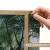 Pad - Bomen - Schaduw - Light Box met batterij (Wandlamp) middel -USP_websiteprintNL