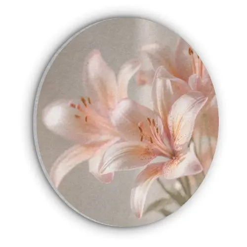 Lelies - Meeldraden - Roze - Wazig Akoestische PET Vilt - Rond klein -3d