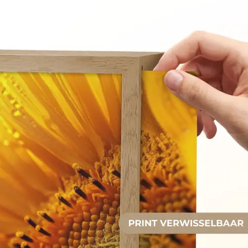 Zonnebloem - Dauwdruppels - Geel - Zonlicht Light Box met batterij (Wandlamp) middel -USP_websiteprintNL