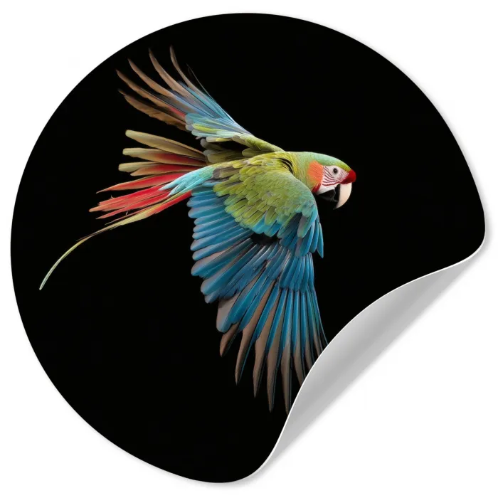 Papegaai - Kleurrijk - Vleugels - Sierlijk Wandcirkel behangsticker klein -3d