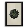 Rozet - Cirkelvormig - Donkergroen fotolijst zwart zonder passe partout klein -3d