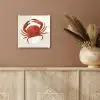 Krab - Felrood - Poten plexiglas 5mm klein -sfeer5