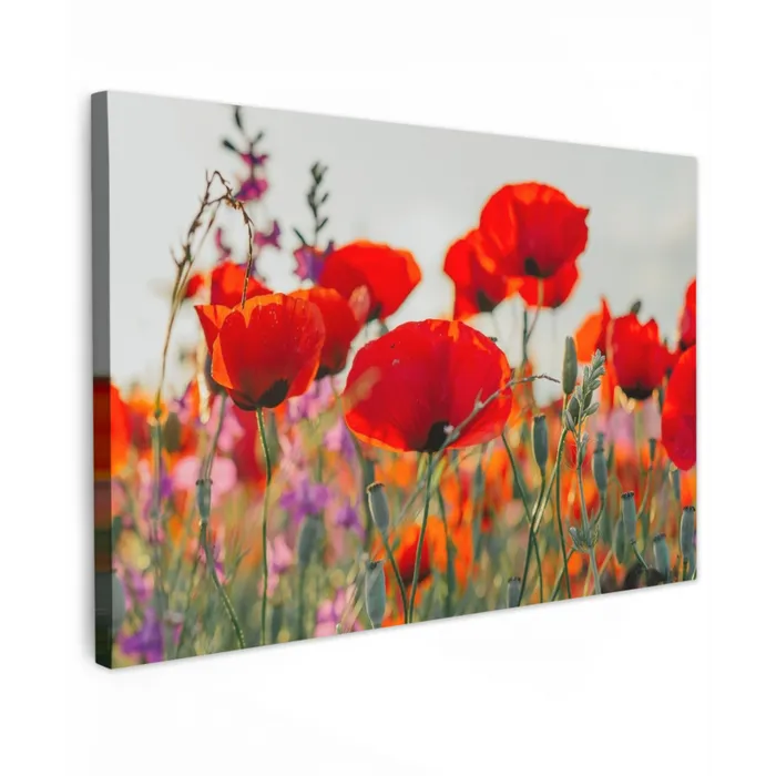 Bloeipracht van Klaprozen Tuinposter op houten frame 2 cm dik klein -3d