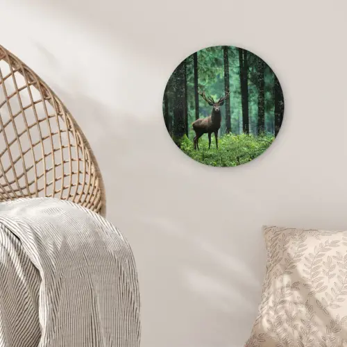 Hert - Bos - Bomen - Dieren - Natuur Wandcirkel kunststof plaat 5mm dik klein -sfeer5