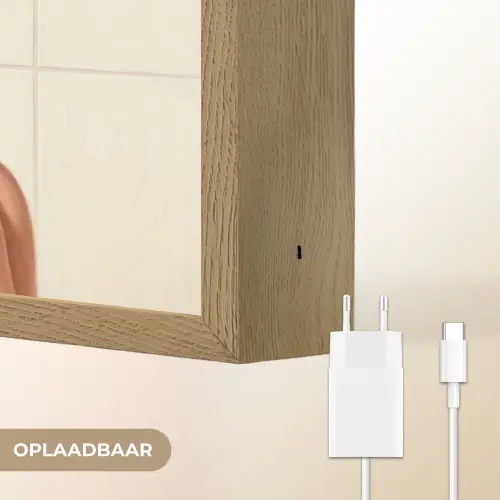Vrouw - Douche - Roze Light Box met batterij (Wandlamp) middel -USP_websiteoplaadbaarNL