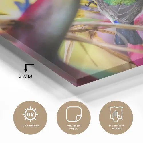 Kleurrijke vogel tussen allemaal kleurrijke platen plexiglas 5mm klein -sfeer2