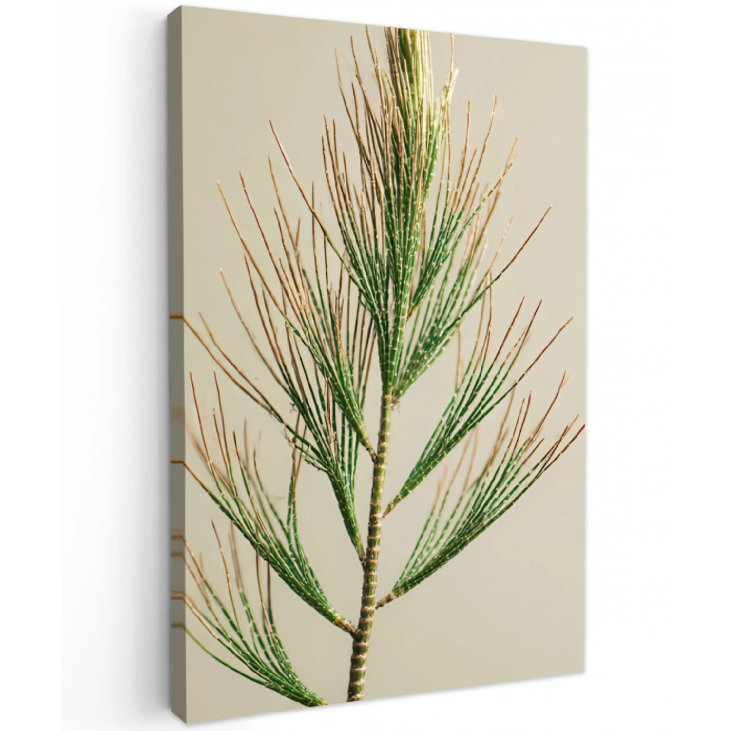 Dennentak - Naaldvormige bladeren - Lichtgroen Tuinposter op houten frame 2 cm dik klein -3d