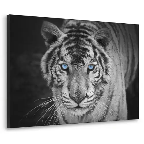 Tijger - Dier - Zwart - Blauw - Modern Textielframe zwart klein -3d