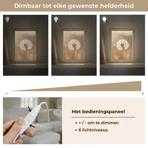 Paardenbloem - Beige - Natuur - Bloem Light Box met kabel (Tafellamp) klein -USP_dimbaarNL