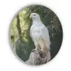 Arend - Hout - Wit - Planten Akoestische PET Vilt - Rond klein -3d