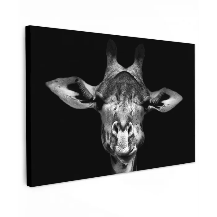 Giraffe - Portret - Dieren - Zwart - Wit canvas 2cm klein -z3d