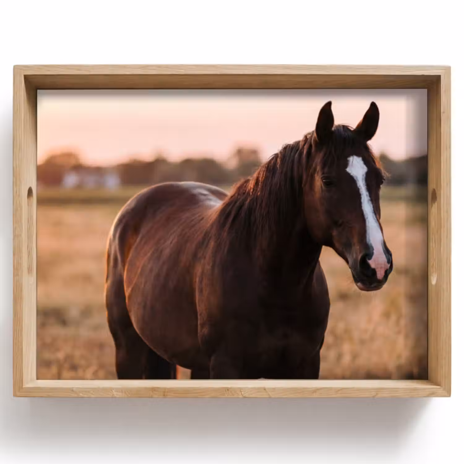 Dienblad - Paard - Zonsondergang - Bruin