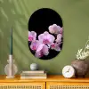 Orchidee - Bloemen - Roze - Flora Wandcirkel Ovaal Forex klein -sfeer2