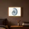 Blauw - Schelp - Spiraal Light Box met batterij (Wandlamp) middel -sfeer4