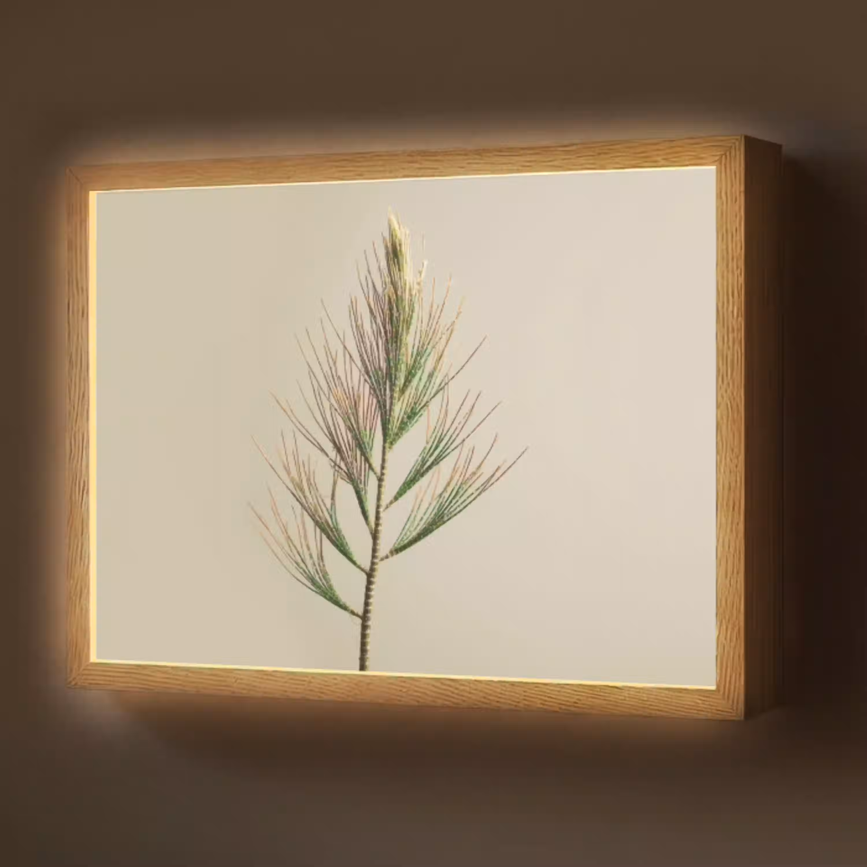 Dennentak - Naaldvormige bladeren - Lichtgroen Light Box met batterij (Wandlamp) middel -z3d_website