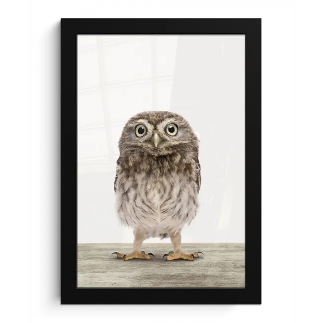 Uil - Bruin - Uilskuikentjes - Kinderen - Jongens - Meisjes fotolijst zwart zonder passe partout klein -3d