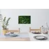Groen - Bladeren - Kartel - Zonlicht Muursticker klein -eettafel