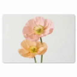 Papavers - Botanisch - Roze Placemat vinyl groot -zzsfeer1_Kitchenyeah-website