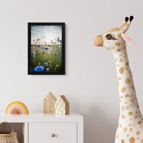 Bloemen - Zomer - Korenbloem - Blauw - Zon - Wolken fotolijst zwart zonder passe partout klein -usfeer4_kinderkamer