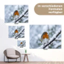 Roodborstje - Tak - Sneeuw - Winter - Levendig tuinposter los doek klein -Xsfeer9_DE