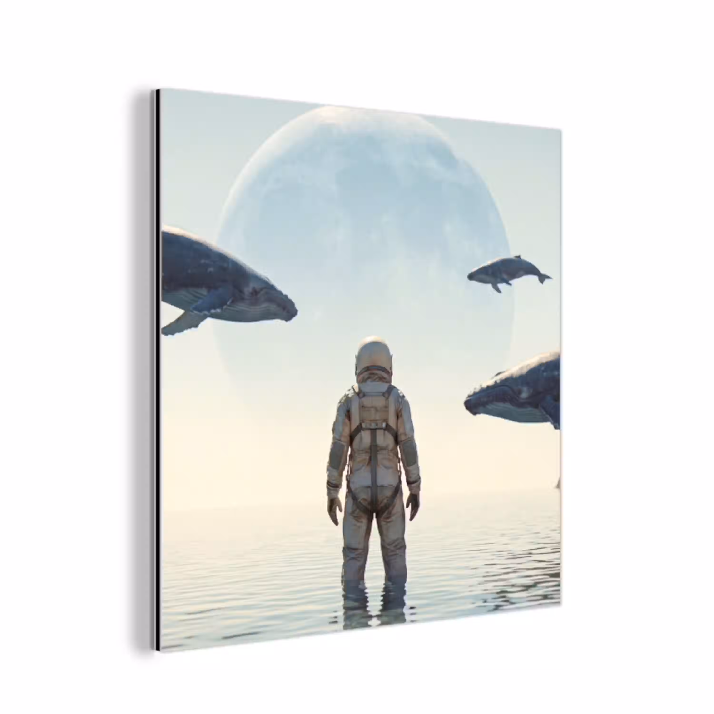 Ruimtevaarder - Walvis - Fantasie aluminium wit klein -3d