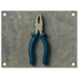 Tang - Schilderij - Textuur - Verf tuinposter los doek klein -3d