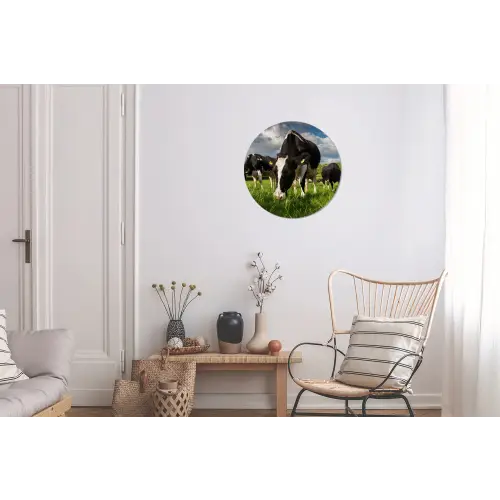 Koeien - Dieren - Gras - Weiland - Boerderij Wandcirkel aluminium klein -woonkamer