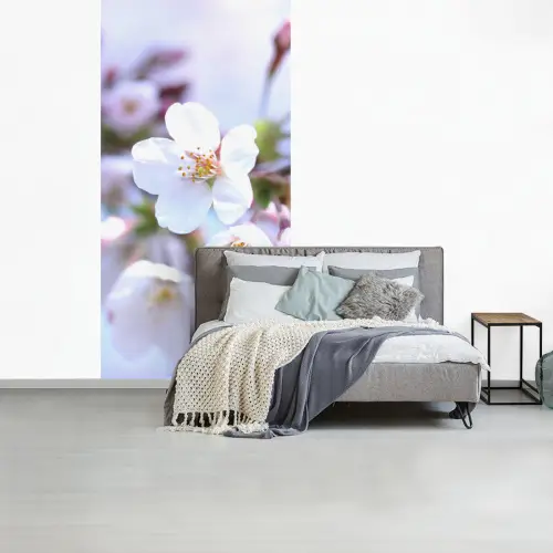Bloemen - Sakura - Tak - Bloesem takken fotobehang vinyl groot -slaapkamer