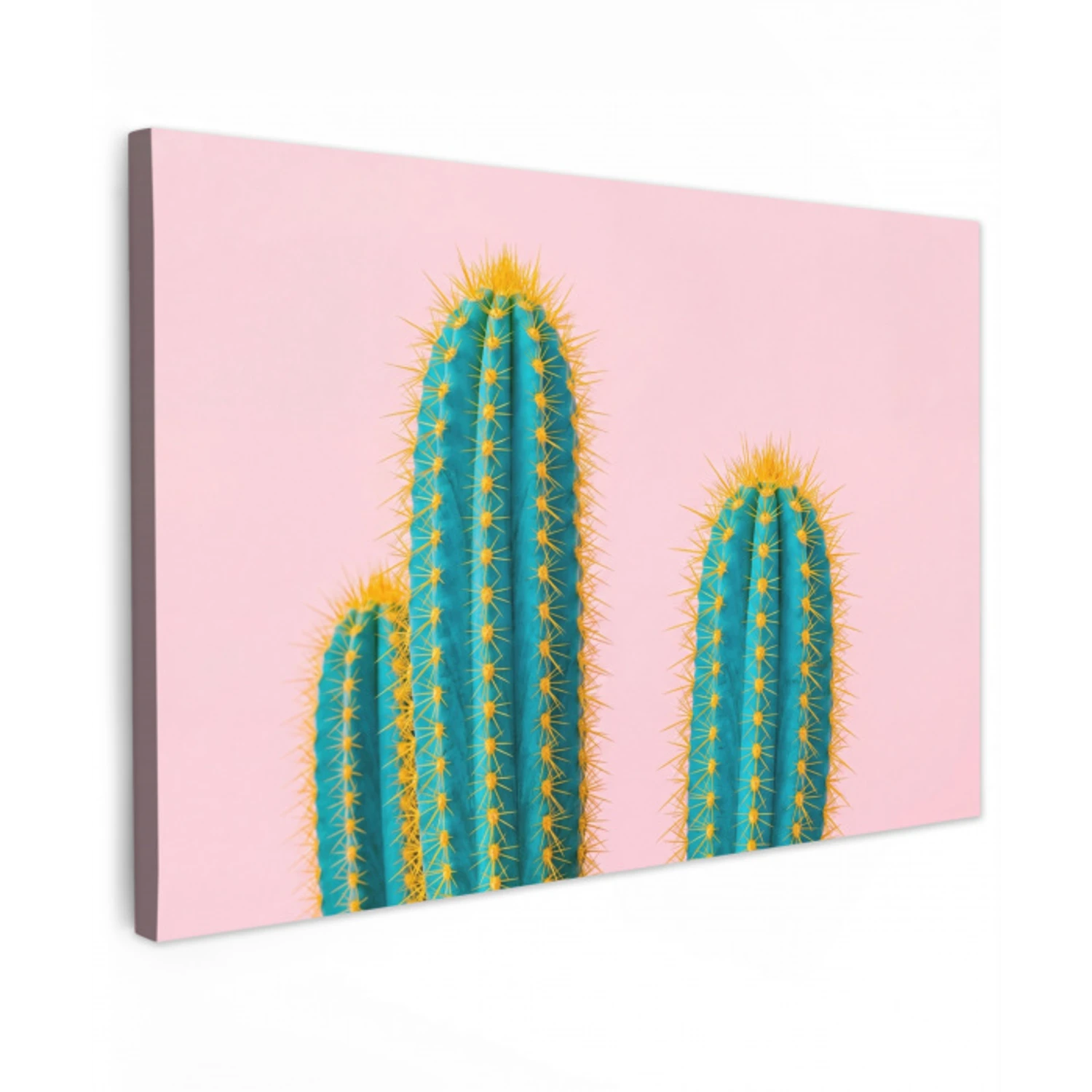 Cactussen - Modern - Pastel Tuinposter op houten frame 2 cm dik klein -3d