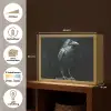Raaf - Vogels - Zwart Light Box met batterij (Wandlamp) middel -USP_websiteoverzichtNL