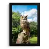 Uil - Boomstronk - Bos - Lucht fotolijst zwart zonder passe partout klein -3d