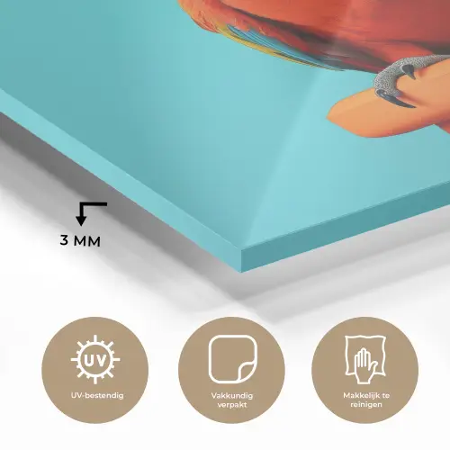 Ara - Koksmuts - Sokkel - Grappig plexiglas 5mm klein -sfeer2