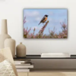 Roodborsttapuit - Heide - Paars - Natuur - Sfeervol canvas 2cm klein -sfeer6