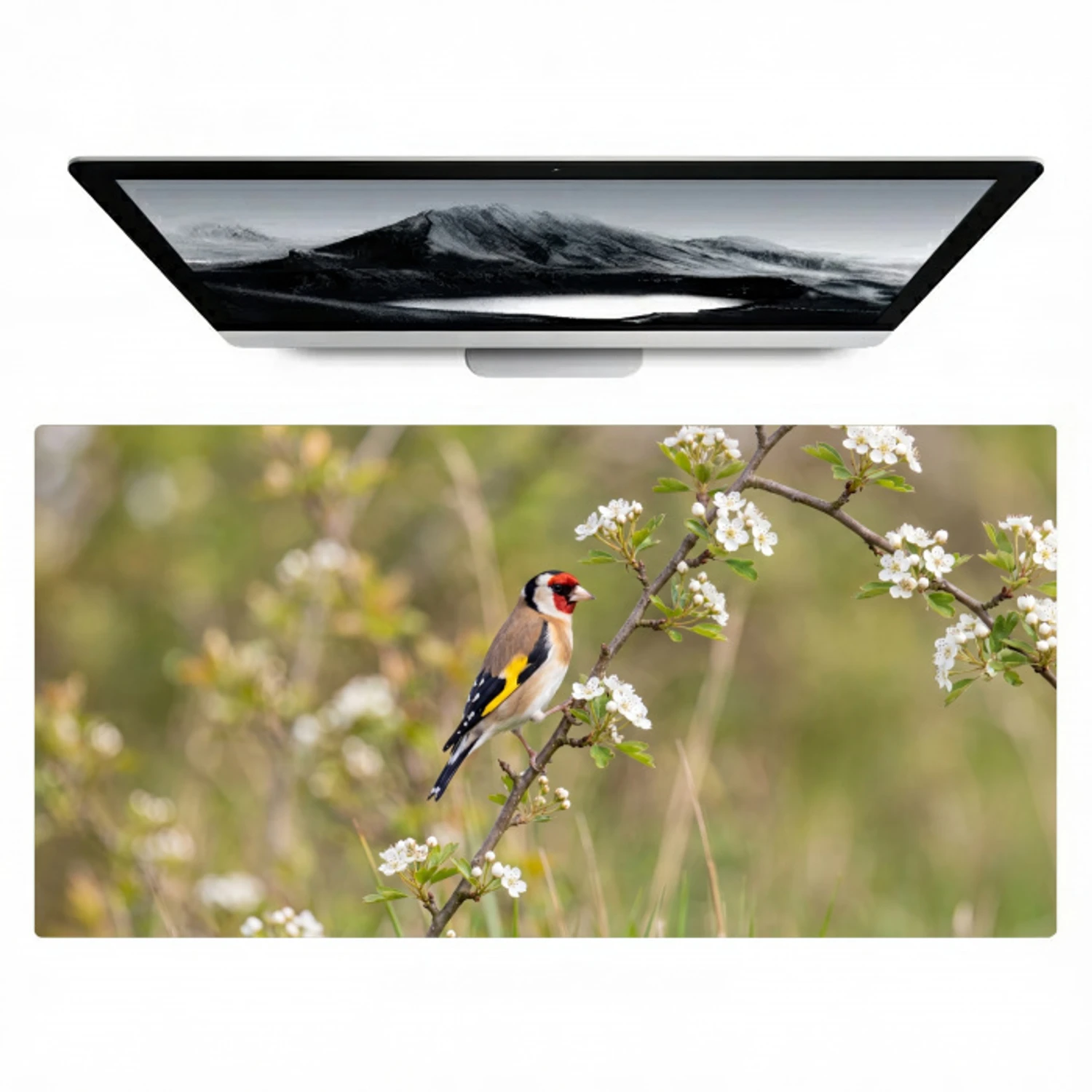 Putter - Bloesem - Lente - Natuur - Kleurrijk Muismat XXL klein -zzz3d
