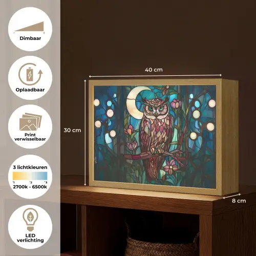 Uil - Mozaïek - Maan - Nacht Light Box met batterij (Wandlamp) middel -USP_websiteoverzichtNL