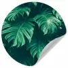 Monstera - Bladeren - Planten - Jungle - Natuur Wandcirkel behangsticker klein -3d