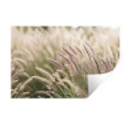Gras - Close up - Groen Muursticker klein -3d