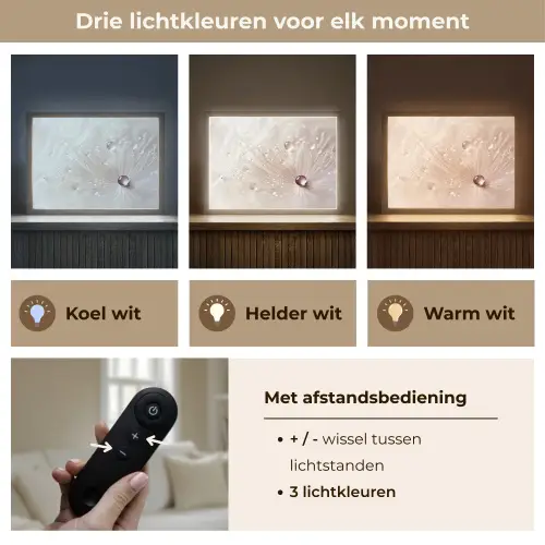 Bloem - Abstract - Wit - Water - Natuur Light Box met batterij (Wandlamp) middel -USP_lichtkleurNL