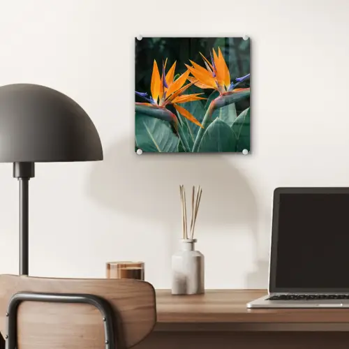 Paradijsvogel - Bloem - Exotisch plexiglas 5mm klein -sfeer6