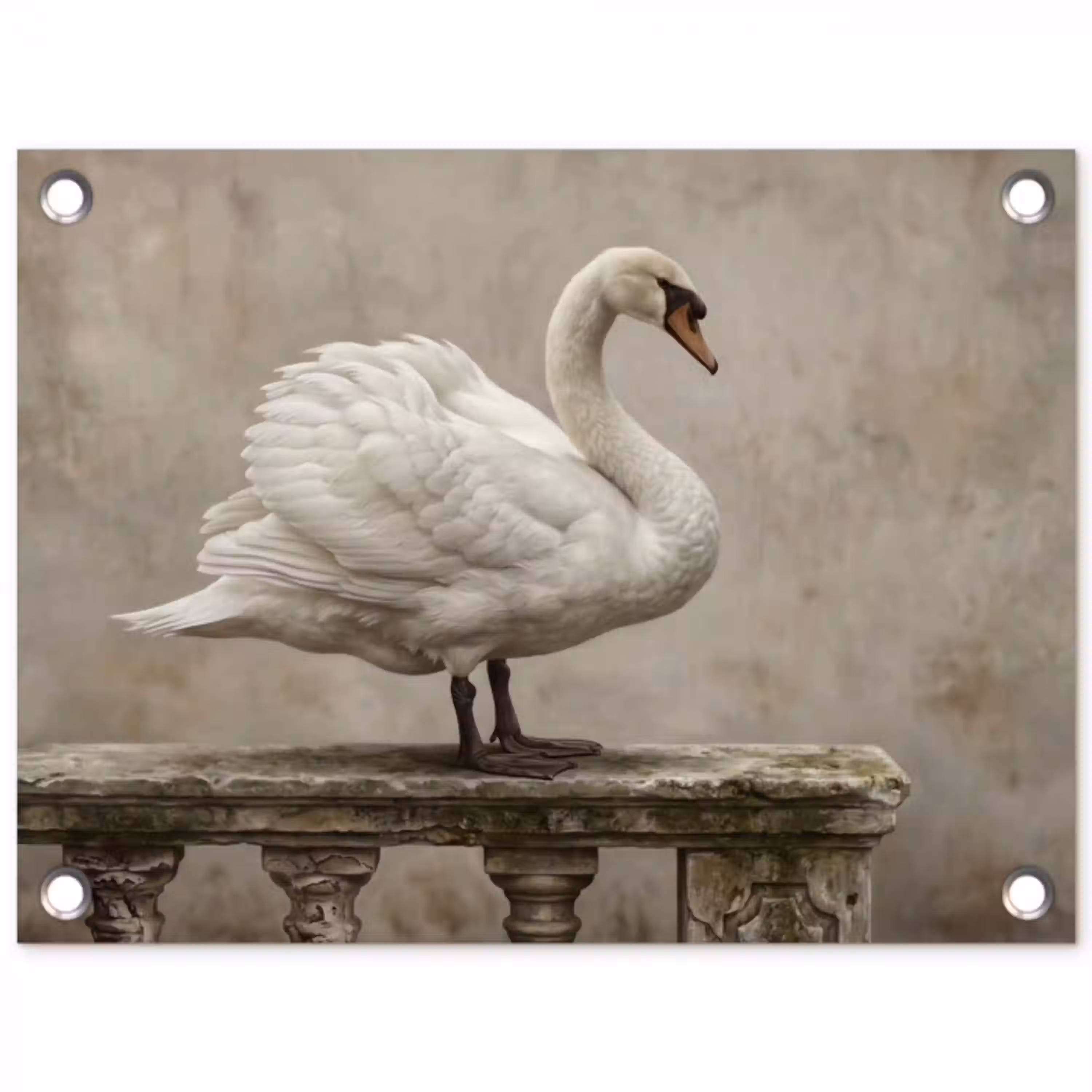Zwaan - Elegant - Dieren - Wit tuinposter los doek klein -3d