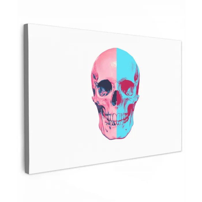 Schedel - Grafisch - Roze - Verdeeld canvas 2cm klein -z3d