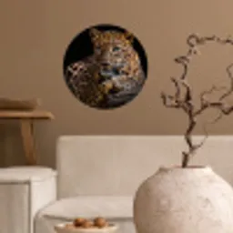 Wilde dieren - Panter - Portret - Zwart - Dieren Wandcirkel behangsticker klein -sfeer1