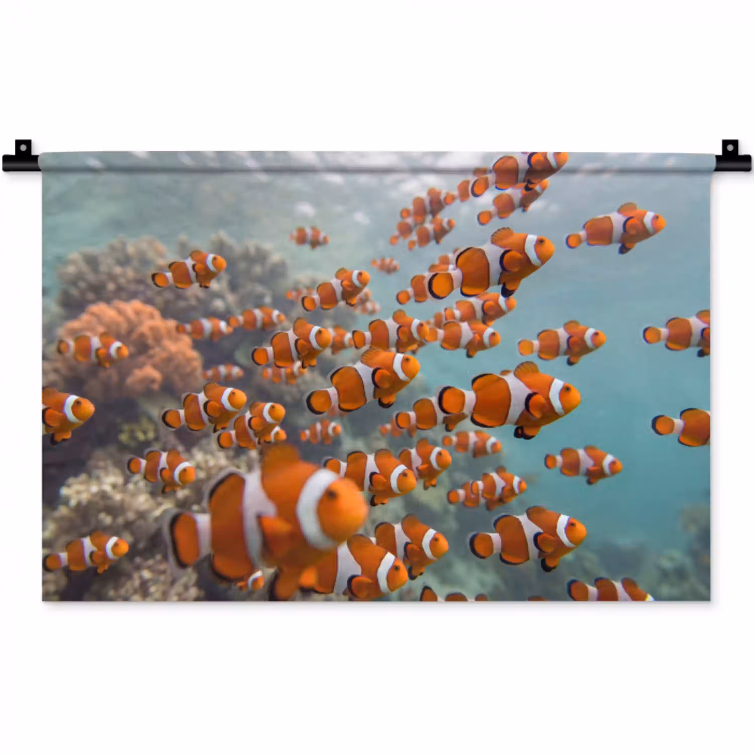 Vis - School - Onderwater - Dieren - Oranje Wandkleed katoen klein -zz3d