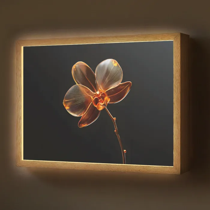Orchidee - Doorzichtig - Bloem Light Box met batterij (Wandlamp) middel -z3d_website