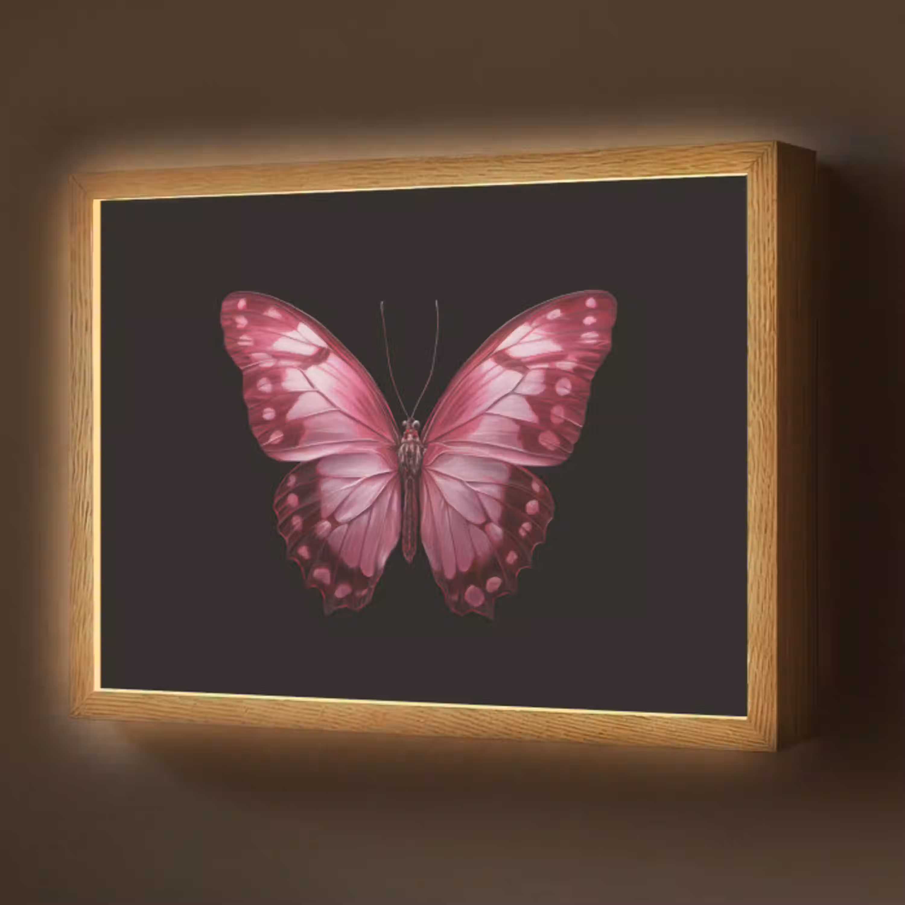 Vlinder - Fuchsia - Grafisch Light Box met batterij (Wandlamp) middel -z3d_website